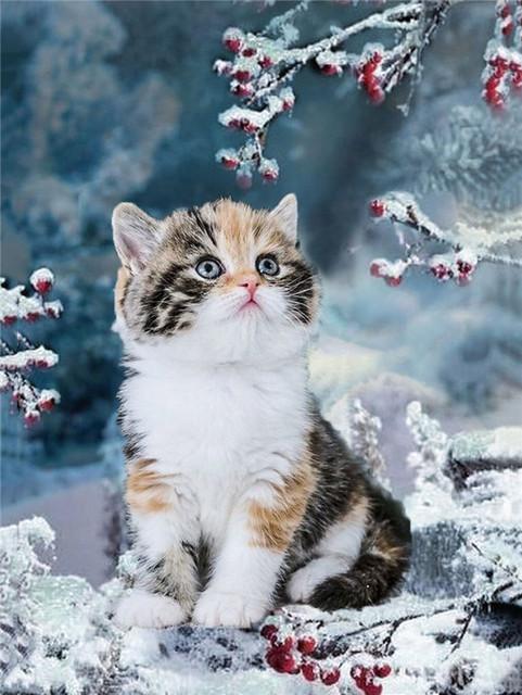 5D Diy Diamond Painting Cats And Dogs Full Round/Square Drill Embroidery Cross Stitch Animal Pet Mosaic Pictures Home Decoration