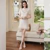 Bailuyu New Chinese Style Embroidered Stand Collar Dress