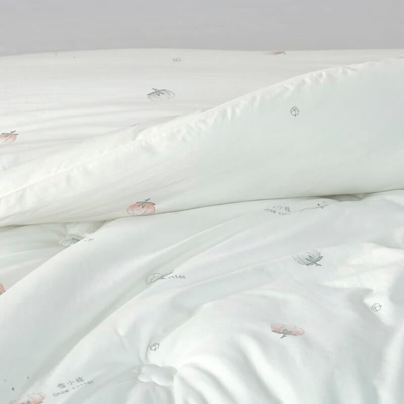 BAIWEISI Snow Cotton Warm Winter Quilt