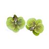 2pcs Korean Style Artificial Butterfly Orchid Decoration Flowers Orchids  Car Home Decoration