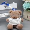 Teddy Bear Pendant Plush Toy with Colorful Clothes Keychain - Customizable Souvenir