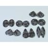 Natural Black Fossil Coral Matched Pair Mix Cabachon Gemstone 07 Pair Lot C-2678