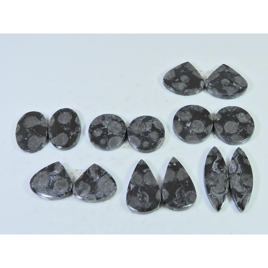 Natural Black Fossil Coral Matched Pair Mix Cabachon Gemstone 07 Pair Lot C-2678