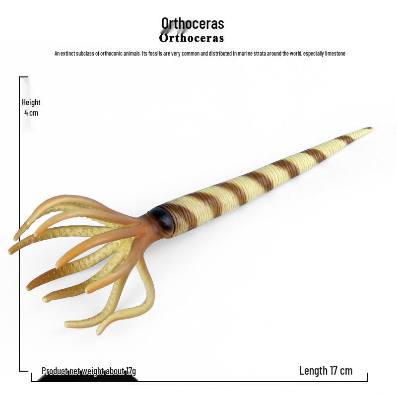 Orthoceras Prehistoric Marine Life Animal Models for Kids - Educational Toys and Collectibles