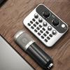 Live Sound Card Mic Echo Knob Funny Sound Effects Voice Changer External Live Broadcasting Singing Audio Mixer Board Studio Supplies