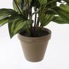 Plante Artificielle - Mica Decorations - Hosta - H65 X Ø40 Cm - Vert - Sans Entretien
