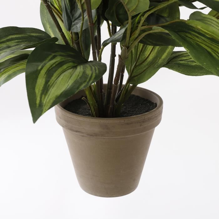 Plante Artificielle - Mica Decorations - Hosta - H65 X Ø40 Cm - Vert - Sans Entretien