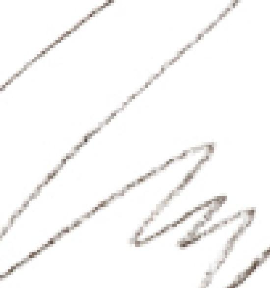 

RULIDIA Easy Detail Brow Project 01 Deep Brown