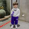 Autumn Children Girls Boys Clothes Sets Kids Cartoon Dinosaur Sweater Pullover Pants Two Pieces Outfit Tracksuit