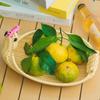 Retro Woven Animal Style Imitation Rattan Fruit Plate  Restaurant Serving Tabletop Display