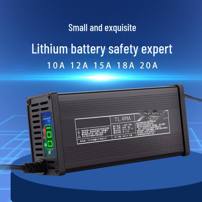 Gangwo 60V 5A Smart Fast Charger for Niu Electric Scooters