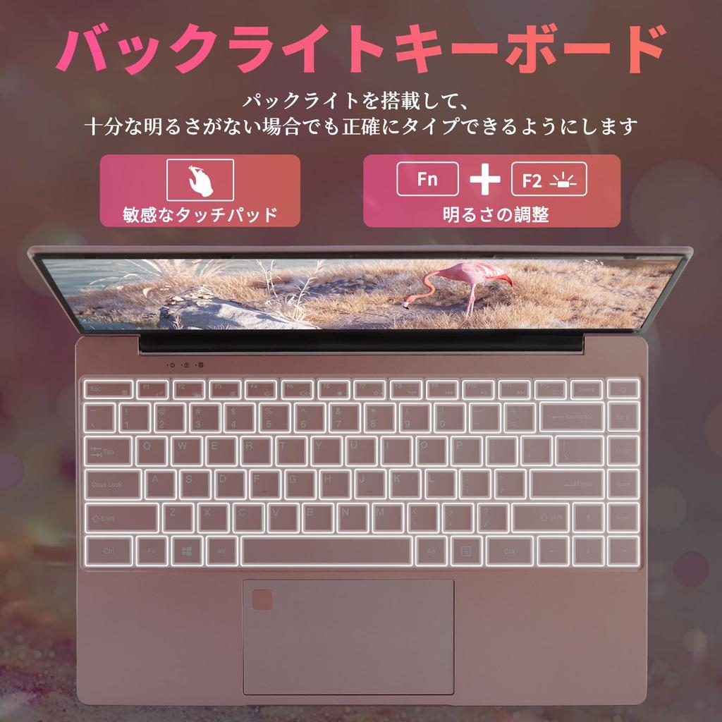 ESBOOK IPS LCD Intel Celeron 16GB DDR4L Narrow Bezel Hidden Windows 11 Pro MS Office Fingerprint Backlit PC Rose Laptop, 2.5K (2560x1440 Resolution),