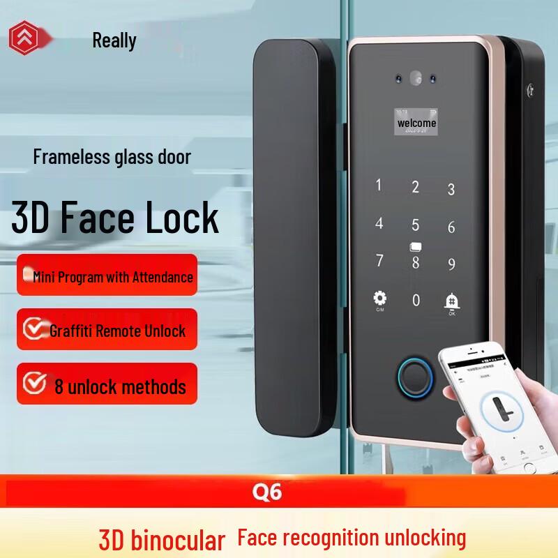 

Realand Q6 Smart Glass Door Lock