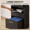 Office Cabinet Mobile Pedestal, 2 Drawers, One Drawer Lockable, 5 Casters, Black, 40 x 40 x 65 cm