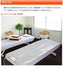 Silver Nano Antibacterial Heat Treatment Mat