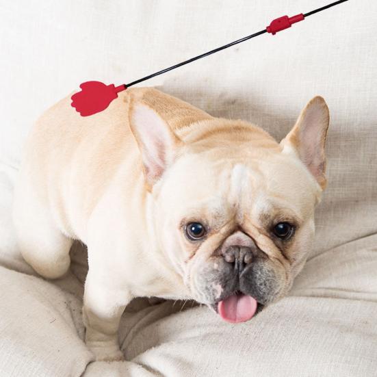 Hundträningspinne Sluta skälla Vikbar design Bekvämt grepplina medföljer Effektiv hundträningspinne