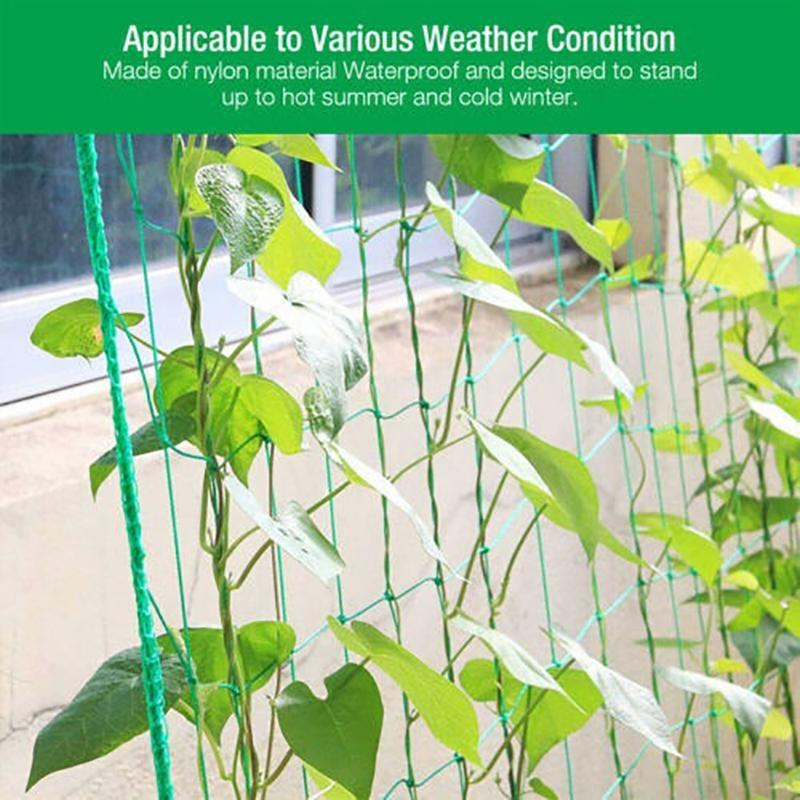 4 Sizes 27 Strands of  Horticultural Plant Climbing Vine Net Ipomoea Nil Climbing Flowers Climbing Rattan Ropes for Plants