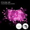 Oeny 24V Pink 100m 1000-LED Fairy String Lights