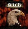CD VARIOUS  Born To Be Wild 18 Rock Classics MUSCD001 MCI MUSIC 1992 UK Rock Used