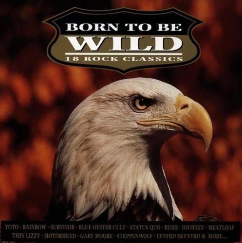 

CD VARIOUS Born To Be Wild 18 Rock Classics MUSCD001 MCI MUSIC 1992 UK Rock Used