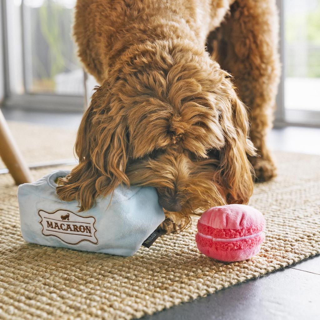 ROOP Dog Toy 0609 Play Pup Cup Cafe Macaron