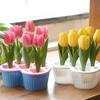 Clear Tulip Hydroponic Flowerpot With Breathable Support Basket Flower Pot  Home Decoration