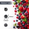 Artificial Blueberry, 50Pcs Fake Blueberry Lifelike Blueberries Simulation Blue Berries Fake Fruit for DIY Craft Home Kitchen Cabinet Food