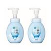 Hada Labo Gokujyun Hyaluronic Foam Cleanser 160ml 2 Set
