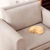 Dog Chamber Model Pet Dog House Dollhouses Pet 1:12 Scale Realistic Playset Door Pet Dog House Model Creative Fun
