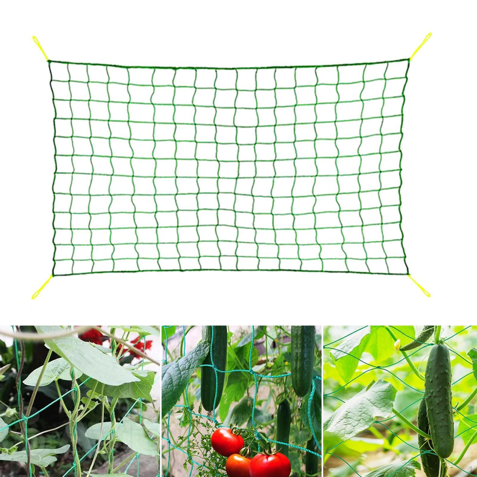 

Сетка для поддержки вьющихся растений для садовой решетки с квадратной сеткой для огурцов 180cmx90cm