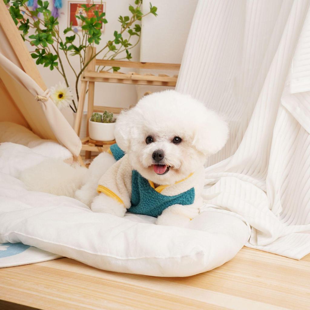 Dicke Herbst-/Winterkleidung im koreanischen Stil mit vier Beinen für kleine Hunde & Katzen - Heißer Verkauf