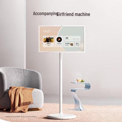 Příslušenství k počítači – Přenosné monitory