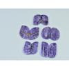 18-21MM Natural Purple Charoite Matched Pair Fancy Loose Gemstone 5Pair Lot C-940