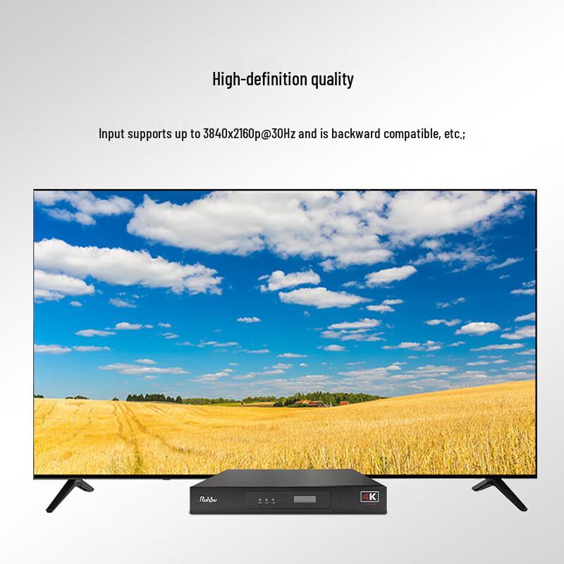Runpu RP-HS4K30-R Distributed AV Input Node (CN version)