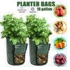 Durable And Reusable Potato Bags For Balcony And Patio Gardening 10 Gallon Capacity