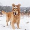 Soft Knitted Dog Ear Scarf Cute Bear Ears Cotton Knitted Pet Hat Non-Slip Snug Fit Velvet Material Dog Headgear Autumn Season