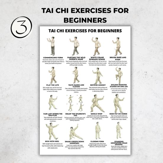 3er Set Tai Chi Übungsanleitung Poster für Senioren Anfänger Tai Chi Trainingsplan für Ältere Gelenkschonend Gleichgewicht Mobilität Heimtraining