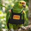 Small Bird Costume Flight Suit With Leash Fashion Training Harness Vest For Parrots Exhibition And Walking Essential