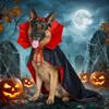 Halloween Pet Cape Costume with Bat Wings Adjustable Vampire Cloak for Puppy Kitten Dog Cat Cosplay Party Holiday Decorations