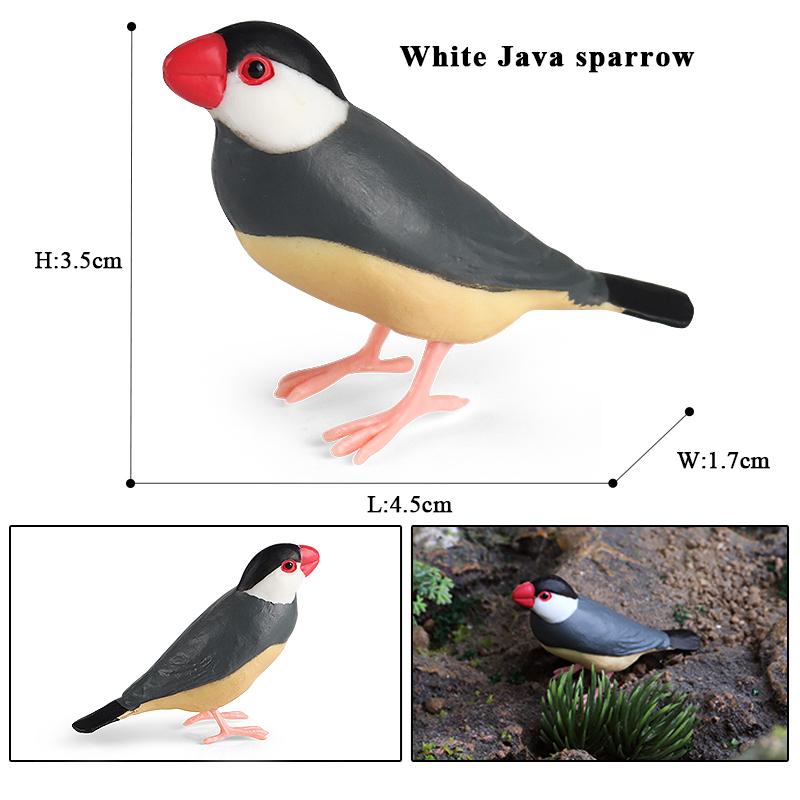 Oenux Forest Bird Animals Wild Ostrich Magpie Owl Crow Flamingos Figurines Action Figure PVC Garden Decoration Miniature Kid Toy