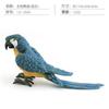 Simulation Forest Bird Bird Animal Model Parrot Static Solid Pet Bird Ornament Decorative Toy