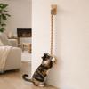 Bite Resistant Cat Scratch Rope Wear Resistant Cat Wall Rope Rack Funny Cat Climbing Shelf  Home