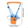 Baby Walking Harness Hand Held Toddlers Assistant for Child