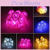 Iluminare – Ghirlande și lumini decorative