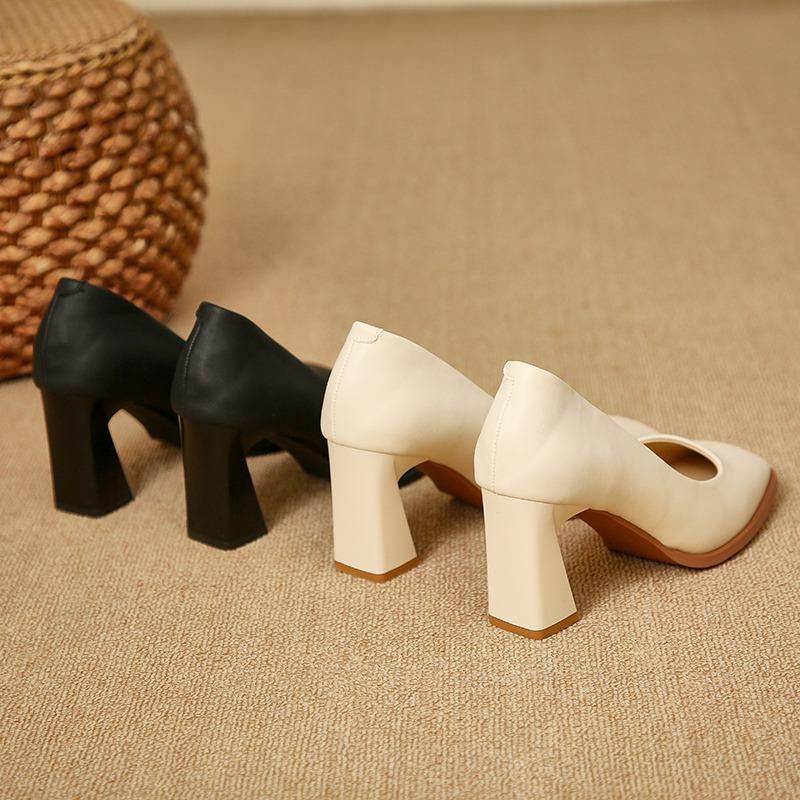 Fashion 2025 New Spring Women's Luxury Shoes Fashion Pointed Toe French Style Thick Heel Shoes Female Professional Elegant High Heels