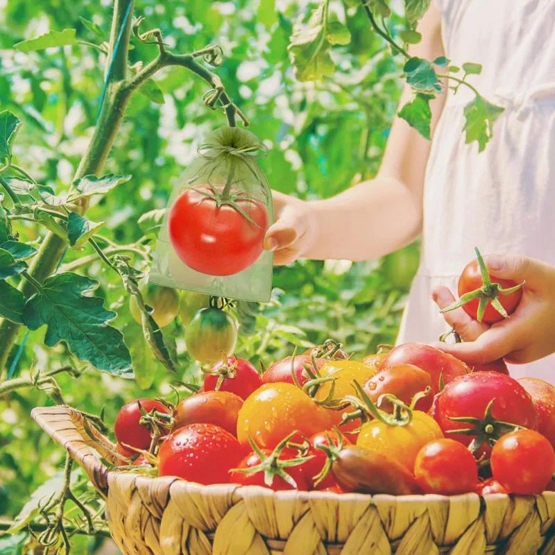 20-100pcs Grapes Fruit Grow Bags Netting Mesh Strawberry Vegetable Plant Protection Bags For Pest Control Anti-Bird Garden Tools