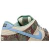 Nike Dunk Low SB (Unisex) Sail / Light Blue / Cedar Skateboard Shoes FN4193 100