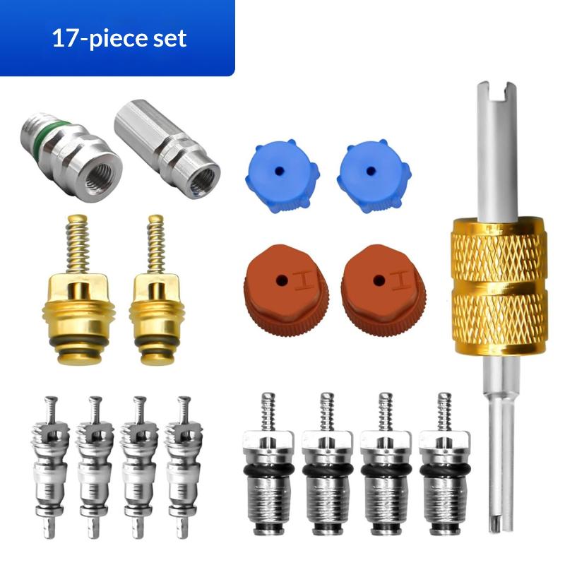 

Car Refrigeration Valve Core Kit 17Pcs R12 R134a Compatible Stem Cores Leakproof Design for Air Conditioning Repair Tools