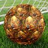 1pc Autumnal Fox Forest Theme Soccer Ball Football, Size 5, Lightweight PVC, Durable Outdoor Training Soccer Ball, Gift M61455