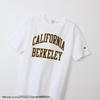 Champion Short Sleeve College Licensed Graphic UC Berkeley Made in Size L T-Shirt, 100% Cotton, 7oz, Print, T1011, Heavyweight, USA, C5-X304, Men's
